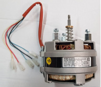 motor_3p_fir_204_01002_steamers_153263632